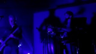 Mike Gordon: 1/23/16 - Houston, TX - Daisy Hill Grove