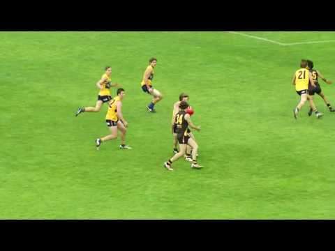 Macca's Cup Week 1 Finals Wrap