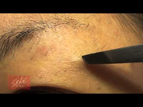 Tweeze Eyebrows with a Seki Edge Slant Tweezer. Perfect for Eyebrows, Facial & Body Hair!