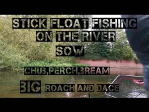 HOW TO STICK FLOAT FISH. float fishing on the river sow #fishing #floating #riverfishing