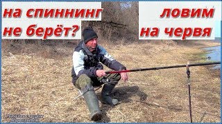 Рыбалка на прудах в декабре 2020