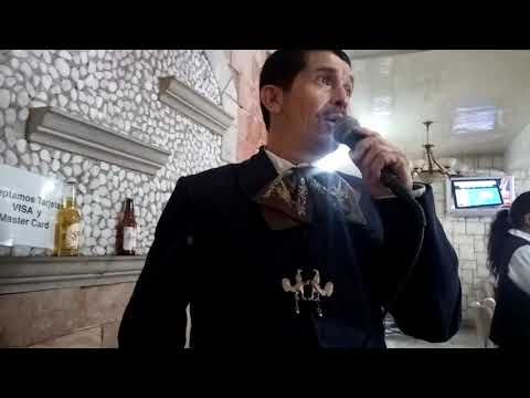 Jose alfredo levario 0445545310533 no verte triste