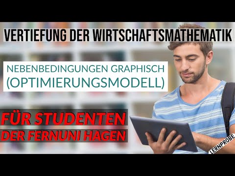 Vertiefung Wirtschaftsmathematik - Optimierungsmodell - Fernuni Hagen