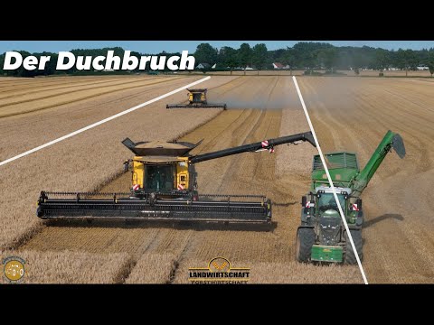 Der Durchbruch zu Zweit! 2800ha Getreideernte mit 3 Mähdrescher Landwirtschaft Erntearbeit 2024