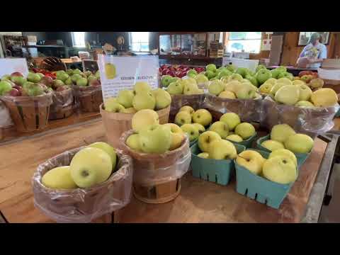 Sussex County Apple Picking Season