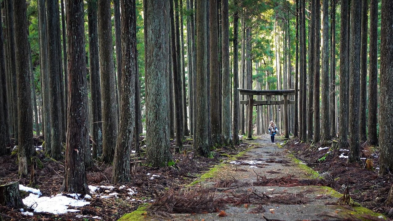 Неизведанная Япония | Место силы в горах Киото | Путешествия по японии | Синтоистский храм Камо