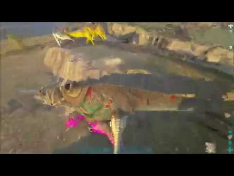 Attacking HERO-Wang D21 - Ark Official PvP