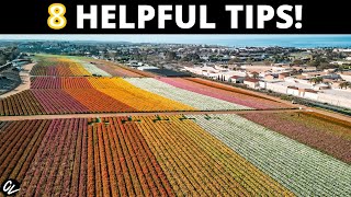 Get the PERFECT PHOTO and The Carlsbad FLOWER FIELDS!