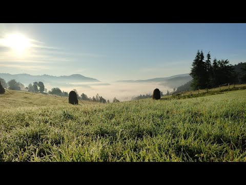 Samuel și Călin Lela  -  ,,Peste veacuri Tu domnești''