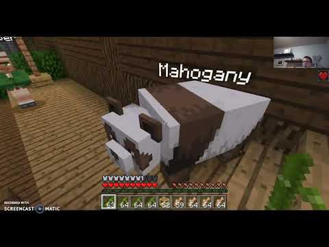Mahogany the Tele-Panda!! Catastrophic Pandamonium