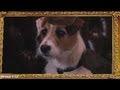 Wishbone Reboot