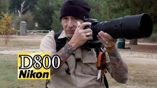 Shooting my old Nikon D800 and my 40 year OLD 300 F2.8 lens - bluebirds and dragonflies!