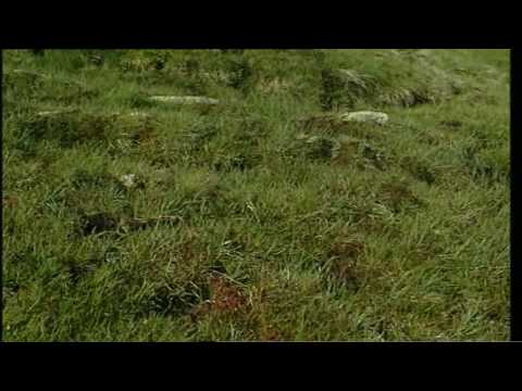 Gredos: Refugio y Frontera (Parte 2/2)