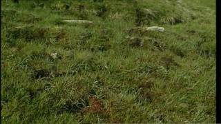 Gredos: Refugio y Frontera (Parte 2/2)
