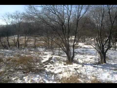 The bridge of no return to north korea.