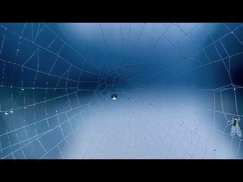 Ryos, Wasback, & Teseo - I'll Be Gone (feat. KARRA) [FREE DOWNLOAD]