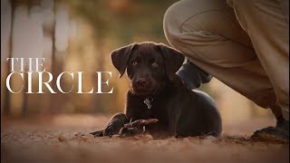 The Circle true story of mans connection with k 9s Video