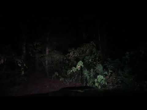 LED Light Bar on the Roof with No Glare - Off-road Lights - Overland Mods