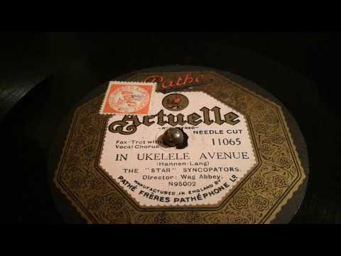 In Ukulele Avenue - The "Star" Syncopators