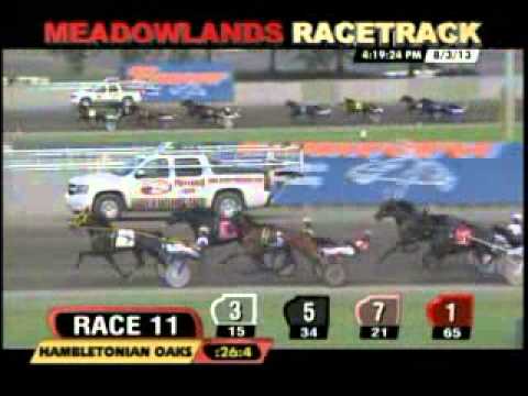 Hambletonian Oaks Final 2013 -Bee A Magician