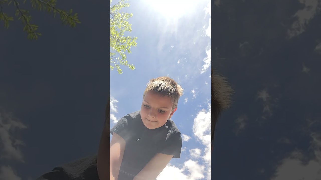 Watch me plant my first tree!🌲