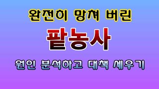 [텃밭농부 1,703]  완전히 망쳐 버린 팥농사. 원인분석과 대책수립. #팥재배