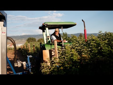 Objektyvas PT361060M3MP12 CS mount 6mm Raspberry Pi kamerai video