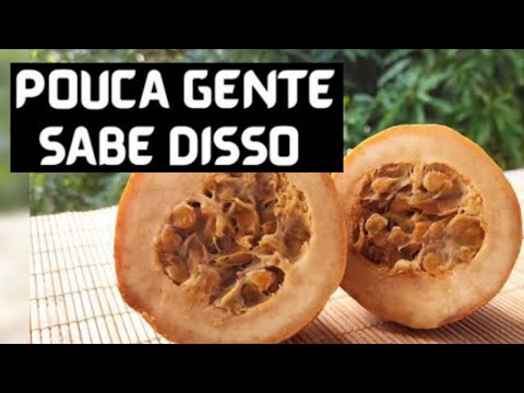 JENIPAPO EMAGRECE?⚠️3 PERIGOS⚠️PODE COMER JENIPAPO NA DIETA PARA EMAGRECE?