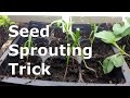 My Seeds Didn T Sprout Try This