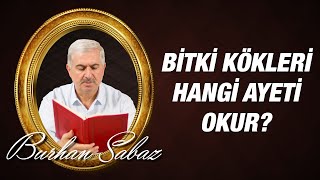Dr. Burhan SABAZ(Kısa) - Bitki kökleri hangi ayeti okur