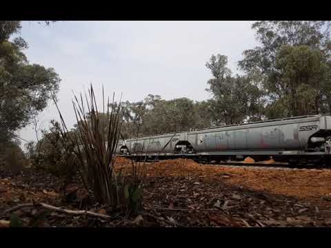 4904-C510-GM10-RL302 on the SSR grain to NSW passing through Chiltern Victoria