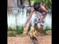 Pothumbu ️ Pothumbu Dinesh Seval Sandai ️ ️ TN 59