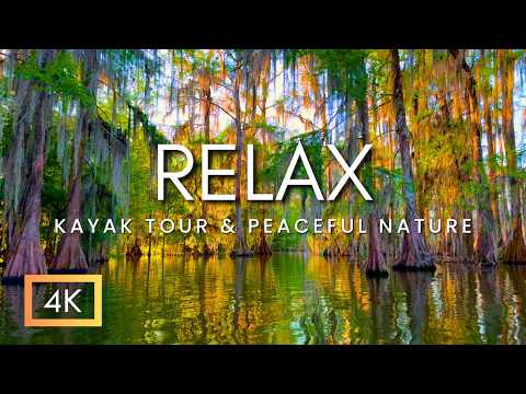 UNBELIEVABLE Morning Kayak | Relaxing Nature Sounds, Bird Song & Gators | Louisiana Cypress Swamp