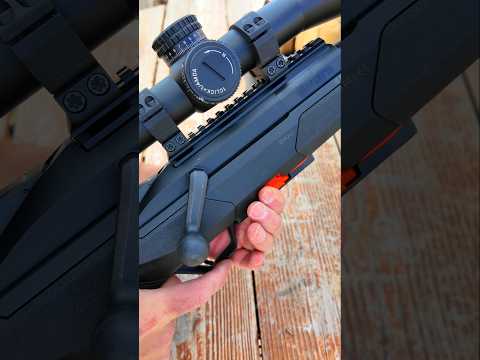 Beretta 21a Bobcat FDE