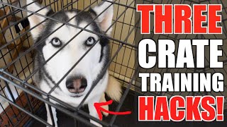Can&#39;t Crate Train Your Siberian Husky? WATCH THIS VIDEO NOW! (3 Tricks For Perfect Crate Training)