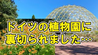 ドイツ在住の皆様にお勧めスポット。植物園のご紹介です。