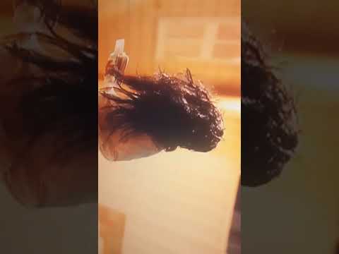 Tokyo gang ft . Daniele de maritino  - samara San Paolo