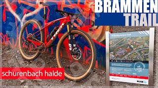 Der Brammen-Trail auf der Schurenbach-Halde I MTB XC Rundkurs