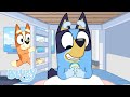 Slap Af Sæson 3 Bluey På Dansk