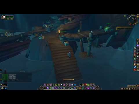 WoW BFA (HORDE) Herbalism quest - Can't Teach on an Empty Stomach (Winter's Kiss Rank 2)