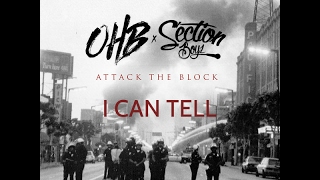 Chris Brown - I Can Tell ft. Hoody Baby &amp; Young Lo (Lyrics) - Attack The Block HD