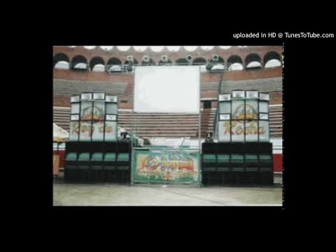 Quedó en las tablas vol 43 del rey con placas