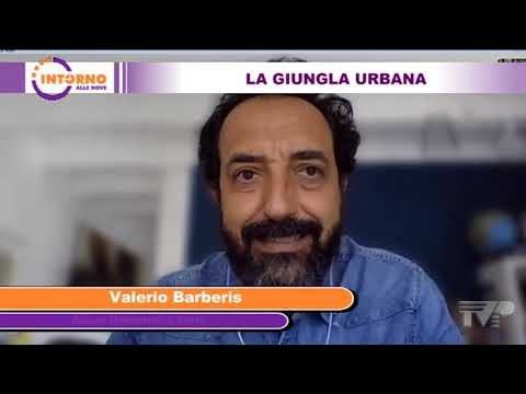 Intorno alle nove del 08 05 20 - La giungla urbana