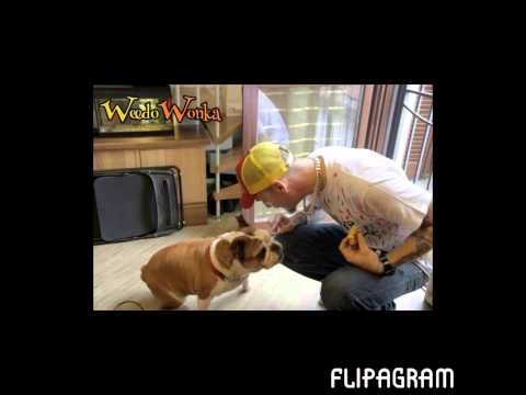 gemelli diversi duci bang