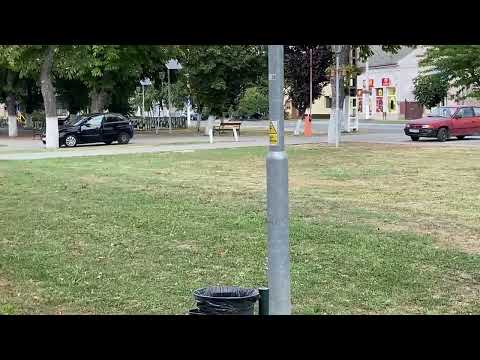 Felicitări administrație publice al Orașului Pecica. Județul: Arad   România🇷🇴