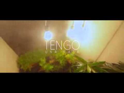 Químico ultra mega tengo una mata en mi casa (video) oficial