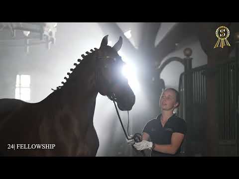 XLIV. P.S.I. Auktion | 9 Dezember 2023