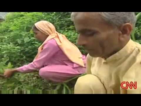 Brothers share one wife - BEN Fraternal Polyandry.flv