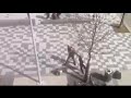 Borracho agresivo vs. Puñetazo volador