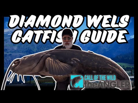 DIAMOND WELS CATFISH GUIDE - Call of the Wild: The Angler